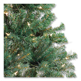 National Tree Company® Pre-Lit Acacia Tree, 37" x 37" x 70.8", Green Tree, Green Tree Stand (NTTAC10030860) Each