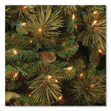 National Tree Company® Pre-Lit Carolina Pine Slim Tree, 29" x 29" x 78", Green Tree, Green Tree Stand (NTTCAP333065) Each
