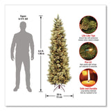 National Tree Company® Pre-Lit Carolina Pine Slim Tree, 29" x 29" x 78", Green Tree, Green Tree Stand (NTTCAP333065) Each
