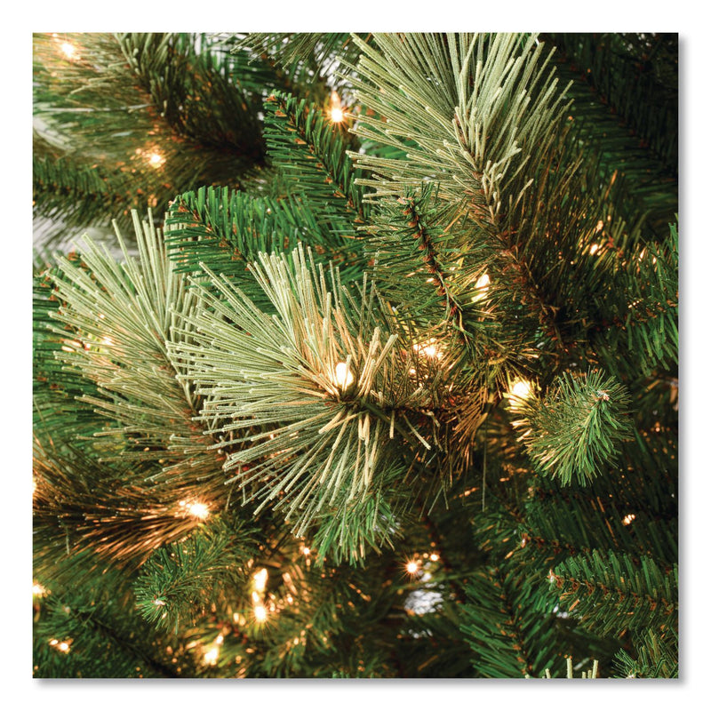 National Tree Company® Pre-Lit Charleston Pine Slim Tree, 50" x 50" x 108", Green Tree, Green Tree Stand (NTTCHR330490) Each