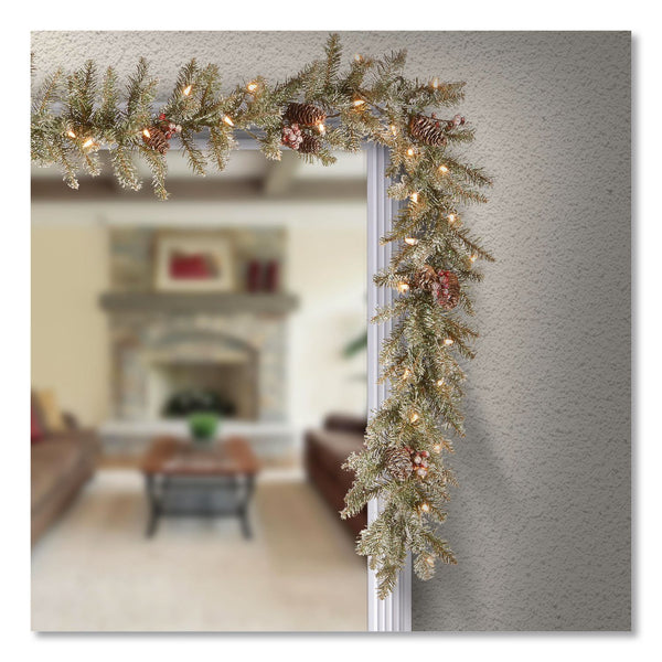 National Tree Company® Pre-Lit Dunhill Fir Garland, AC Powered, Clear Incandescent Lights, 108" Long, Green (NTTDUF3009A1) Each