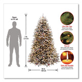 National Tree Company® Pre-Lit Dunhill Fir Snowy Tree, 55" x 55" x 84", Green Tree, Green Tree Stand (NTTDUF30070) Each