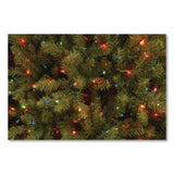 National Tree Company® Pre-Lit Dunhill Fir Tree, 59" x 59" x 90", Green Tree, Green Tree Stand (NTTDUH75RLO) Each