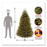 National Tree Company® Pre-Lit Dunhill Fir Tree with PowerConnect, Clear Lights, 52" x 52" x 84", Green Tree, Green Tree Stand (NTTDUH3300P70) Each