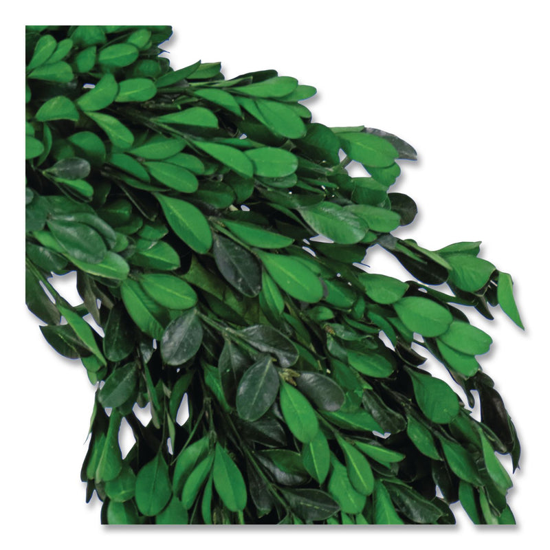 National Tree Company® Spring Boxwood Wreath, 18" x 18" x 3.93", Green (NTTEG79MH187181) Each