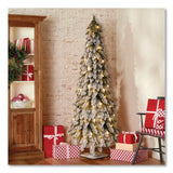 National Tree Company® Pre-Lit Snowy Downswept Forest Slim Tree, 19" x 19" x 60", Green Tree, White Square Metal Plate (NTTFTDF160ALO) Each