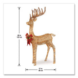 National Tree Company® Pre-Lit Standing Reindeer, AC Powered, Warm White LED Lights, 20.5" x 27" x 48", Champagne (NTTDF105010U) Each