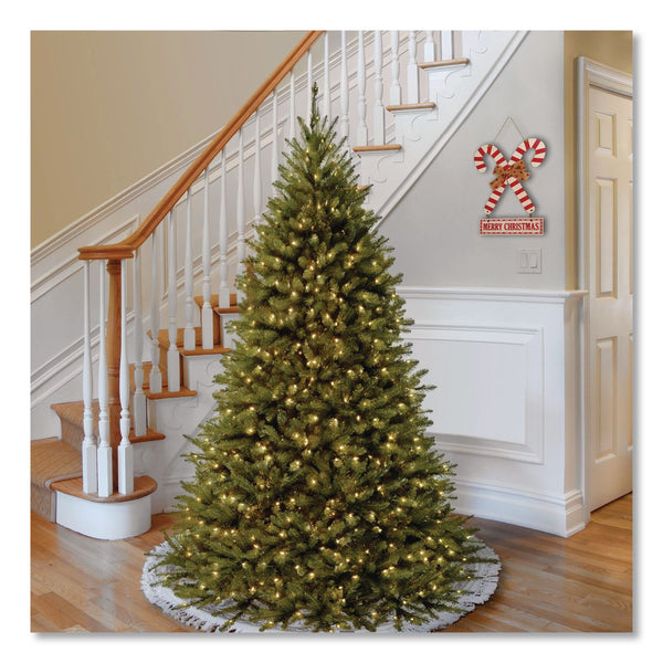 National Tree Company® Pre-Lit Kingswood Fir Tree, 55" x 55" x 90", Green Tree, Green Tree Stand (NTTKW7D5375) Each