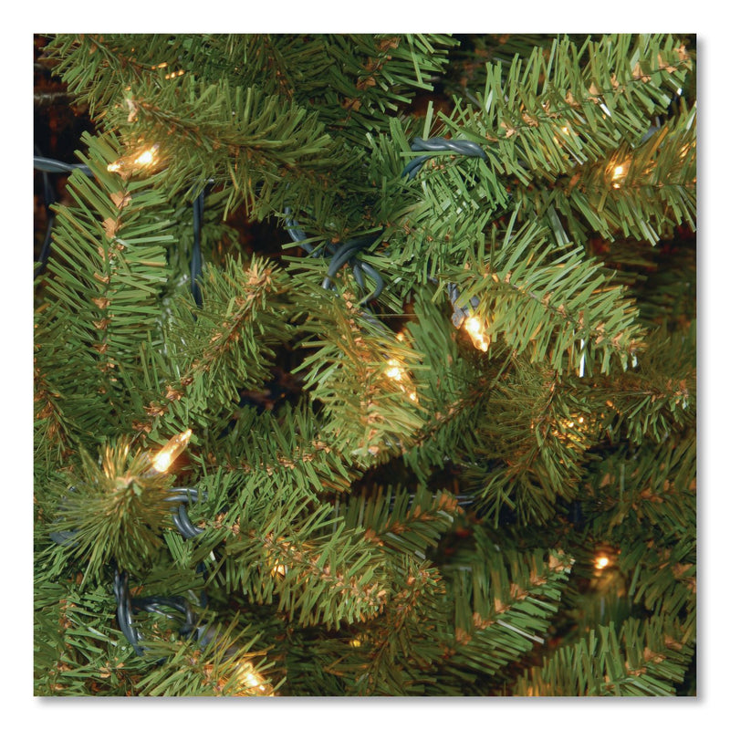 National Tree Company® Pre-Lit Kingswood Fir Tree, 55" x 55" x 90", Green Tree, Green Tree Stand (NTTKW7D5375) Each