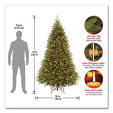 National Tree Company® Pre-Lit Kingswood Fir Tree, 55" x 55" x 90", Green Tree, Green Tree Stand (NTTKW7D5375) Each