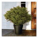 National Tree Company® Globe Juniper Topiary Tree, 20" x 28" x 20", Green Tree, Green Pot (NTTLCB828) Each