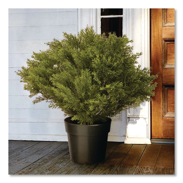 National Tree Company® Globe Juniper Topiary Tree, 20" x 28" x 20", Green Tree, Green Pot (NTTLCB828) Each