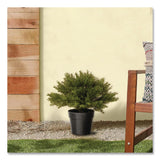 National Tree Company® Artificial Globe Juniper, 15" x 15" x 15", Green Plant, Green Pot (NTTLCB4151) Each