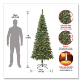 National Tree Company® Pre-Lit Linden Spruce Slim Tree, 31" x 31" x 90", Green Tree, Green Tree Stand (NTTLIN8304L75) Each