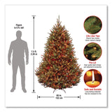 National Tree Company® Pre-Lit Natural Fraser Fir Tree, 60" x 60" x 90", Green Tree, Green Tree Stand (NTTNAFFMH175RLO) Each