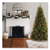 National Tree Company® Pre-Lit North Valley Spruce Tree, 42" x 42" x 78", Green Tree, Green Tree Stand (NTTNRV730165) Each
