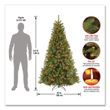 National Tree Company® Pre-Lit North Valley Spruce Tree, 42" x 42" x 78", Green Tree, Green Tree Stand (NTTNRV730165) Each