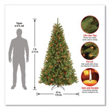 National Tree Company® Pre-Lit North Valley Spruce Tree, 47" x 47" x 84", Green Tree, Green Tree Stand (NTTNRV730170) Each