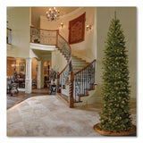 National Tree Company® Pre-Lit North Valley Spruce Pencil Slim Tree, 40" x 40" x 108", Green Tree, Green Tree Stand (NTTNRV735890) Each