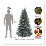 National Tree Company® Pre-Lit North Valley Spruce Blue Tree, 42" x 42" x 78", Blue Tree, Green Tree Stand (NTTNRVB730665) Each