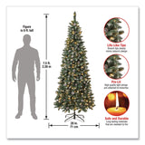 National Tree Company® Pre-Lit Oakley Hills Slim Tree, 31" x 31" x 90", Green Tree, Green Tree Stand (NTTOAK8304L75) Each