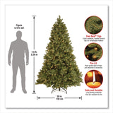National Tree Company® Pre-Lit Downswept Douglas Fir Tree, 59" x 59" x 90", Green Tree, Green Tree Stand (NTTPEDD131275) Each