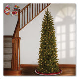 National Tree Company® Pre-Lit Downswept Douglas Fir Pencil Slim Tree, 30" x 30" x 78", Green Tree, Green Tree Stand (NTTPEDD439265) Each