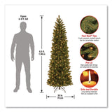 National Tree Company® Pre-Lit Downswept Douglas Fir Pencil Slim Tree, 30" x 30" x 78", Green Tree, Green Tree Stand (NTTPEDD439265) Each