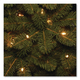 National Tree Company® Pre-Lit Downswept Douglas Fir Pencil Slim Tree, 35" x 35" x 108", Green Tree, Green Tree Stand (NTTPEDD439290) Each