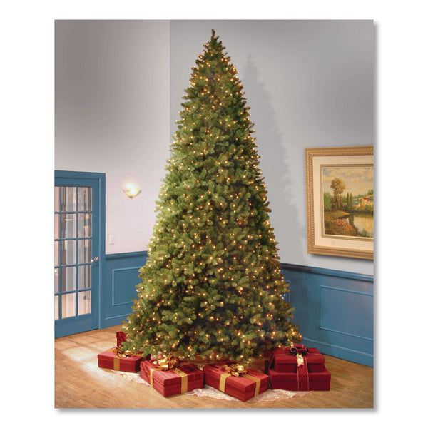 National Tree Company® Pre-Lit Downswept Douglas Fir Tree, 92" x 92" x 144", Green Tree, Green Tree Stand (NTTPEDD1312120) Each