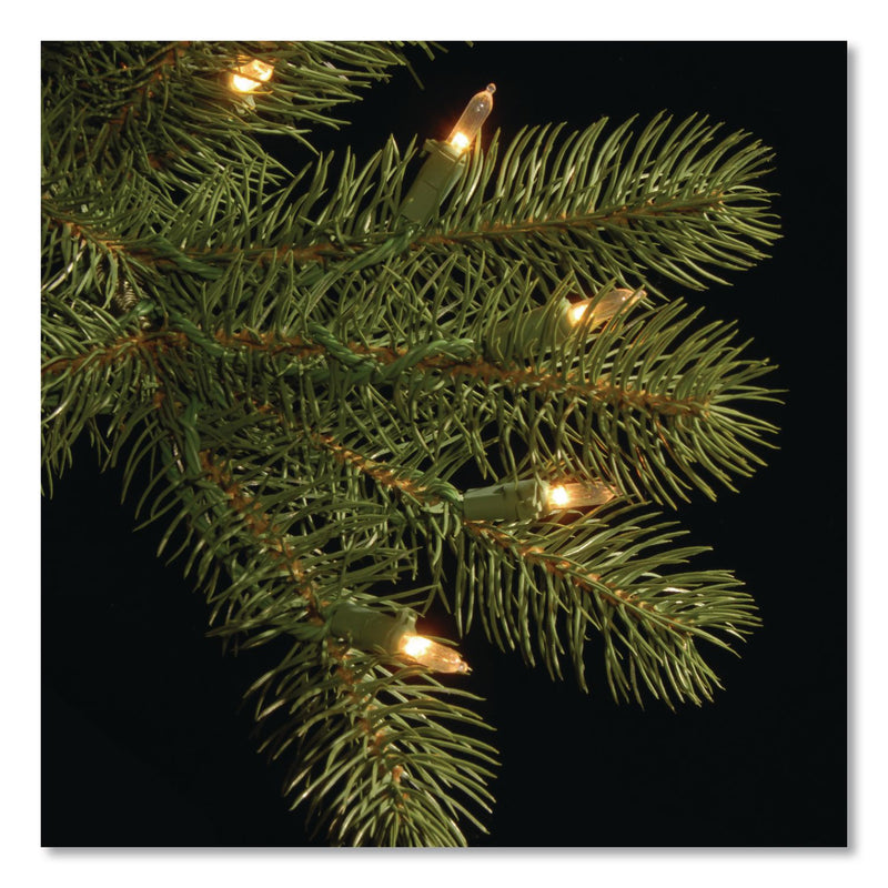 National Tree Company® Pre-Lit Downswept Douglas Fir Tree, 92" x 92" x 144", Green Tree, Green Tree Stand (NTTPEDD1312120) Each