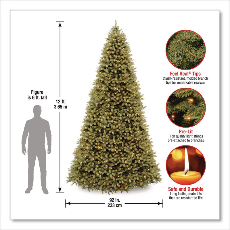 National Tree Company® Pre-Lit Downswept Douglas Fir Tree, 92" x 92" x 144", Green Tree, Green Tree Stand (NTTPEDD1312120) Each