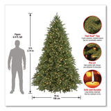 National Tree Company® Pre-Lit Grande Fir Pencil Slim Tree, 78" x 78" x 108", Green Tree, Green Tree Stand (NTTPEJF130090) Each