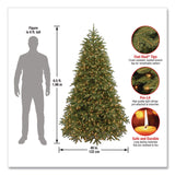 National Tree Company® Pre-Lit Jersey Fraser Fir Medium Tree, 48" x 48" x 78", Green Tree, Green Tree Stand (NTTPEJF130265) Each
