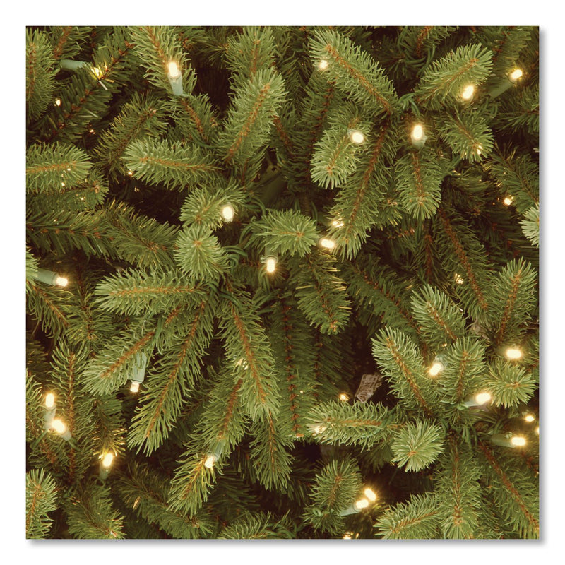 National Tree Company® Pre-Lit Jersey Fraser Fir Medium Tree, 56" x 56" x 90", Green Tree, Green Tree Stand (NTTPEJF130275) Each
