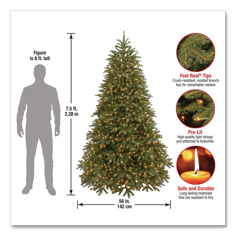 National Tree Company® Pre-Lit Jersey Fraser Fir Medium Tree, 56" x 56" x 90", Green Tree, Green Tree Stand (NTTPEJF130275) Each