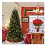National Tree Company® Pre-Lit Jersey Fraser Fir Slim Tree, 51" x 51" x 90", Green Tree, Green Tree Stand (NTTPEJF130475) Each