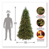 National Tree Company® Pre-Lit Jersey Fraser Fir Slim Tree, 51" x 51" x 90", Green Tree, Green Tree Stand (NTTPEJF130475) Each