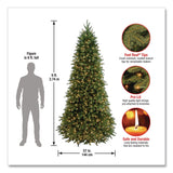 National Tree Company® Pre-Lit Jersey Fraser Fir Slim Tree, 57" x 57" x 108", Green Tree, Green Tree Stand (NTTPEJF130490) Each