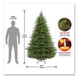 National Tree Company® Norway Fir Tree, 62" x 62" x 90", Green Tree, Green Tree Stand (NTTPENF150075) Each
