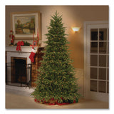 National Tree Company® Pre-Lit Northern Fraser Tree, 57" x 57" x 90", Green Tree, Green Tree Stand (NTTPENO430775) Each