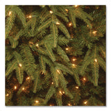 National Tree Company® Pre-Lit Northern Fraser Tree, 57" x 57" x 90", Green Tree, Green Tree Stand (NTTPENO430775) Each