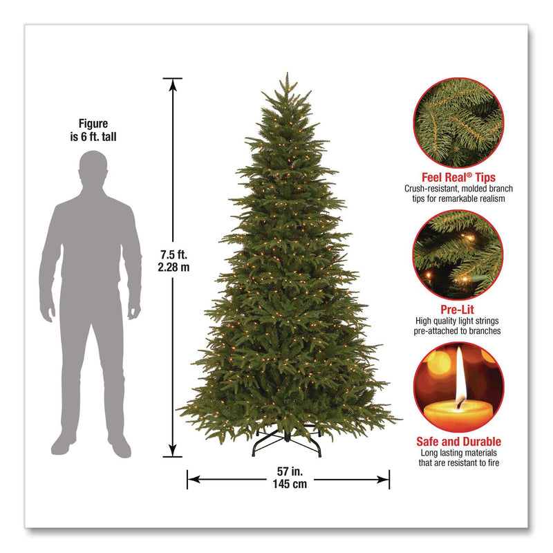 National Tree Company® Pre-Lit Northern Fraser Tree, 57" x 57" x 90", Green Tree, Green Tree Stand (NTTPENO430775) Each