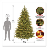 National Tree Company® Pre-Lit Nordic Spruce Medium Tree, 69" x 69" x 108", Green Tree, Green Tree Stand (NTTPENS130790) Each