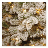 National Tree Company® Pre-Lit Snowy Everest Fir, 64" x 64" x 108", Green Tree, Green Tree Stand (NTTPEV331190) Each