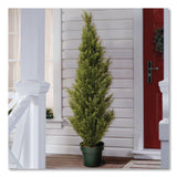 National Tree Company® Cedar Topiary Tree, 13" x 13" x 53", Green Tree, Dark Green Pot (NTTQLMC4531) Each