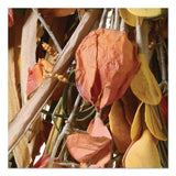 National Tree Company® Fall Teardrop Decoration, 16" x 30" x 2", Orange (NTTRAHVT170375N) Each