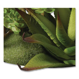National Tree Company® Spring Potted Plant, 8" x 8" x 8", Green Plant, White Pot (NTTRASXF169W) Each