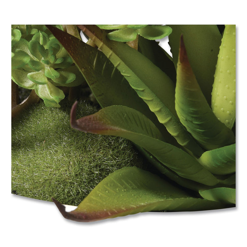 National Tree Company® Spring Potted Plant, 8" x 8" x 8", Green Plant, White Pot (NTTRASXF169W) Each