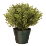 National Tree Company® Artificial Globe Juniper, 15" x 15" x 15", Green Plant, Green Pot (NTTLCB4151) Each